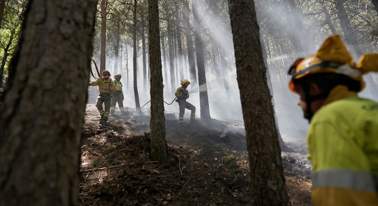 default-228 Firefighters spray water from hoses in a forest. Smoke surrounds them.