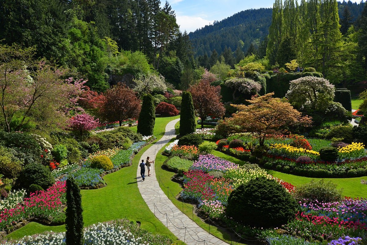 Aerial view of 2 people walking on a trail through colourful, manicured public gardens.