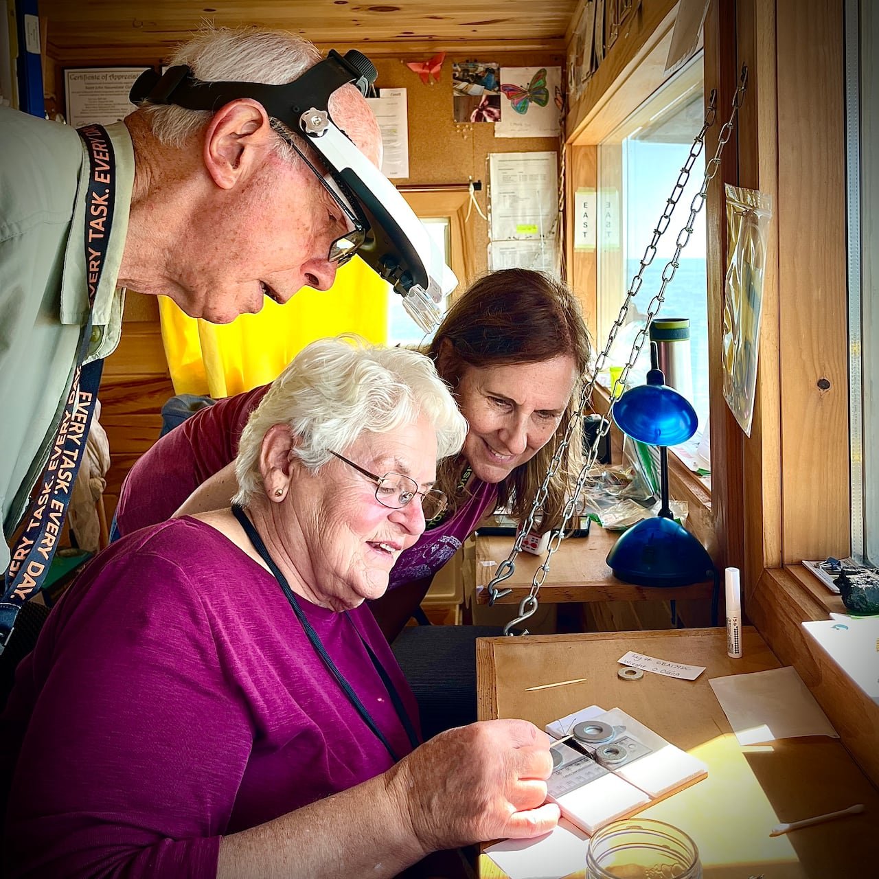 default-92 A man wearing a magnifying headset tags a monarch butterfly at Point Lepreau Bird Observatory.